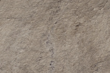 Керамогранит Атлас Конкорд Италия Норде/ Norde Piombo Textured 60x90 A5T5
