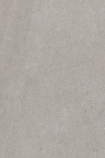 Керамическая плитка Kerama Marazzi Матрикс серый матовый 20x30 8343