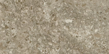 Керамогранит Идальго Lunar Brown LLR 60x120 коричневый