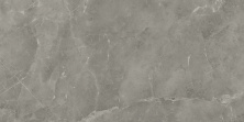 Керамогранит Атлас Конкорд Италия Марвел Про/ Marvel Pro Grey Fleury Polished 60x120 A21M