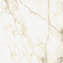 Керамогранит ColiseumGres Микеланджело/ Michelangelo Ворм Рет 610010002748 белый 60x60