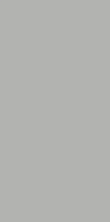 Керамогранит СтароСлэбс Mono Grey Matt 160x320 серый