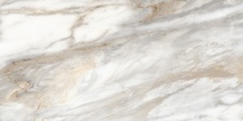 Керамическая плитка Альма Керамика Эйфория/ Euphoria TWU2550EPH74 серый 24.9x50