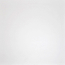 Плитка керамогранитная Grasaro Domino White 60x60 см