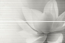 Декор Kerama Marazzi HGD\A200\2x\12102R Панно Борсари 50x75