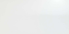 Керамическая плитка Атлас Конкорд Италия Solid White Glossy 8DSL 40x80