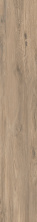 Керамогранит Kerama Marazzi Сальветти капучино обрезной 20x119.5 SG514820R