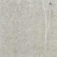 Керамогранит NSceramic NSC8045 серый матовый 80x80