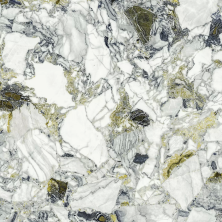 Керамогранит Атлас Конкорд 610015000703 F.d.M.Quark Ceppo Apuano Forest Lapp Rett 80x80