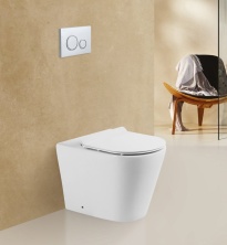 Унитаз приставной безободковый BelBagno Flay-R BB1003CBR