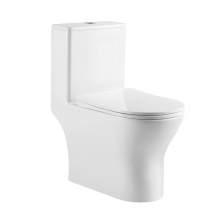 Унитаз-моноблок безободковый BelBagno Lounge BB8618CPR-MN/SC с крышкой-сиденьем микролифт