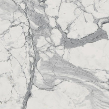 Керамогранит Италон Шарм Эво/ Charme Evo Статуарио 60x60