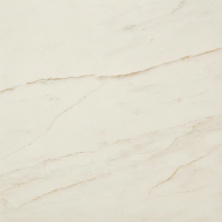 Керамогранит Атлас Конкорд Италия Марвел Про/ Marvel Pro Cremo Delicato Matte 60x60 AVGD