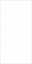 Керамогранит Kerama Marazzi Радуга белый обрезной 60x119.5 SG508220R