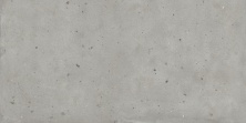 Керамогранит Италон Авангард/ Avantgarde Сильвер 610010005694 серый 60x120