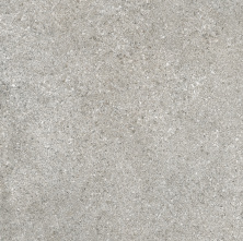 Керамогранит Грасаро Granito G-1152/MR/600x600x9 серый