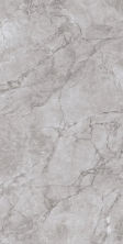 Керамогранит Аркадия Керамика CR4012-A Arctic Grey Carving 60x120 серый