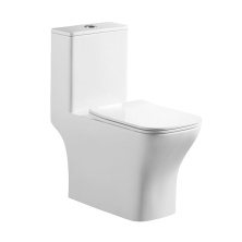 Унитаз-моноблок безободковый BelBagno Neon BB8617CPR-MN/SC с крышкой-сиденьем микролифт