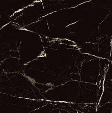 Керамогранит Аркадия Керамика HG2008-A Black Spinder High Gloss 60x60 черный