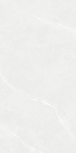 Керамогранит Novin Ceram Devin Light Gray N9941T30 серый 60x120