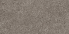 Керамическая плитка Альма Керамика Дискавер/ Discover TWU2550DCV40 коричневый 24.9x50