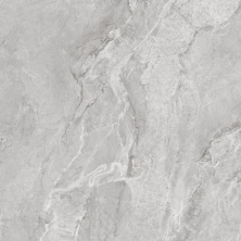 Керамогранит Аркадия Керамика CR6006-A Bolivia Dove Carving 60x60 серый