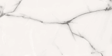Керамогранит Азарио Onyx Grey 60x120 Glossy P3211112138G серый