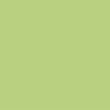Керамогранит Estima YourColor YC93 60x60 салатовый