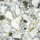 Керамогранит Атлас Конкорд 610015000703 F.d.M.Quark Ceppo Apuano Forest Lapp Rett 80x80