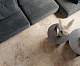 Керамогранит Laparet Brecia Antic Brown 60x60 полированный