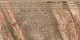 Ступень Genesis Brown 29.4x60 K-105/SR/st01/294x600x10