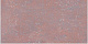 Керамогранит Grasaro Travertino Red Brown 30x60 G-460/PR/300x600x10