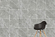 Керамогранит Vitra СилкМарбл/ SilkMarble Калакатта Оро R9 K951682R 60x120