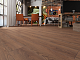 Ламинат ForestFloor FRT-113 Currant OAK бежевый