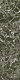 Керамогранит СтароСлэбс Peacock Verde Texture 80x320 зеленый