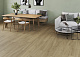 Керамогранит СтароВуд Forest Wengue Matt 20x120 венге