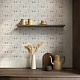 Декор Kerama Marazzi VT\A327\SG1544N Сиена 1 матовый 20x20