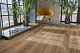 Кварцвиниловая плитка Aqua Floor Шеврон клеевой (Паркет)/ Chevron Glue (Parquet) AF2559PGCh 553.7x130.5 Дуб Темный замковый кварц винил напольный