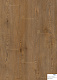 SPC ламинат Westerhof Vivace Сорренто 12.5x62.5