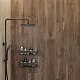 Керамогранит Креанза CW-RT12-B Husk Wood Brich Rustic Wood 20x120 бежевый