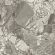 Керамогранит Атлас Конкорд 610015000653 Форте дей Марми/ Forte dei Marmi Ceppo Apuano Pearl 80x80