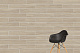 Керамогранит Vitra ОакВуд/ OakWood Бежевый R10A K947907R 20x120
