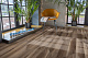 Кварцвиниловая плитка Aqua Floor Шеврон клеевой (Паркет)/ Chevron Glue (Parquet) AF2559PGCh 553.7x130.5 Дуб Темный замковый кварц винил напольный